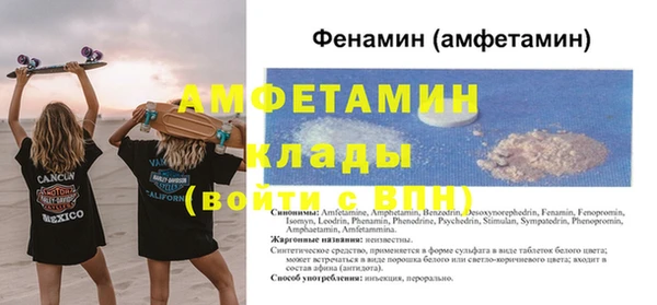 индика Балабаново
