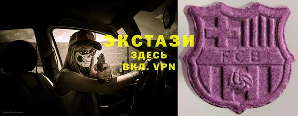 индика Балабаново
