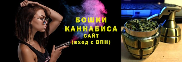 индика Балабаново