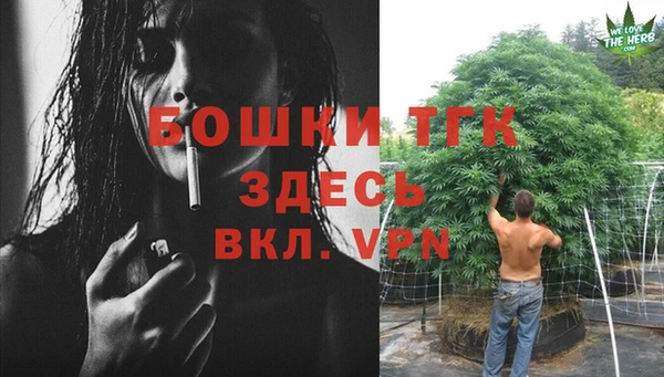 индика Балабаново