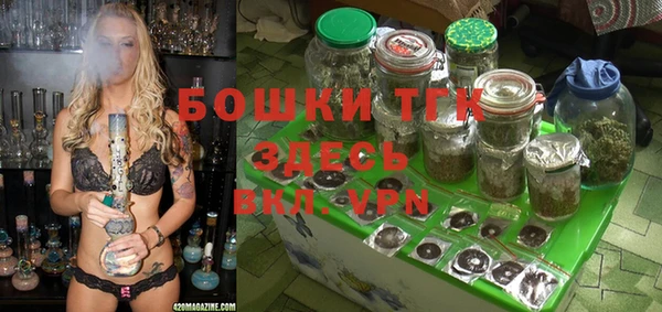 индика Балабаново