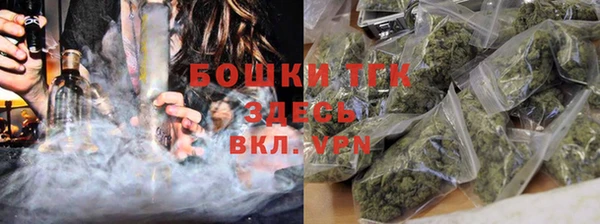 индика Балабаново
