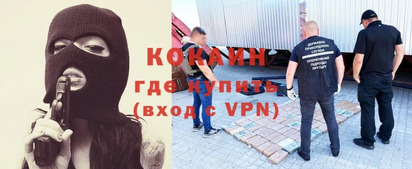 индика Балабаново