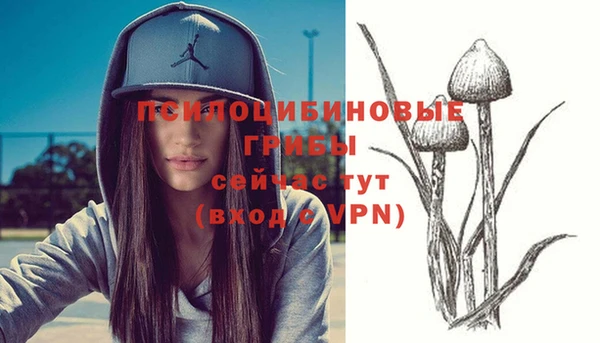 индика Балабаново