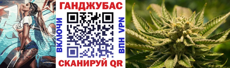 Шишки марихуана гибрид купить Кондрово